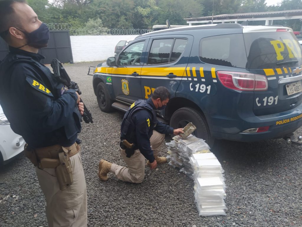 Dia do Policial Rodoviário Federal: categoria se destaca no combate ao crime nas rodovias brasileiras