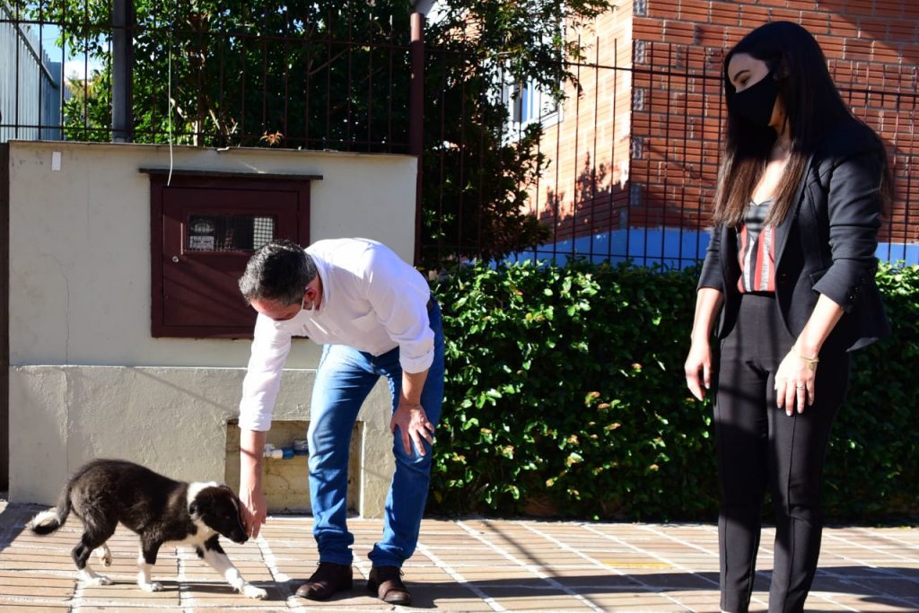 Número de castrações pelo Programa É o Bicho é ampliado