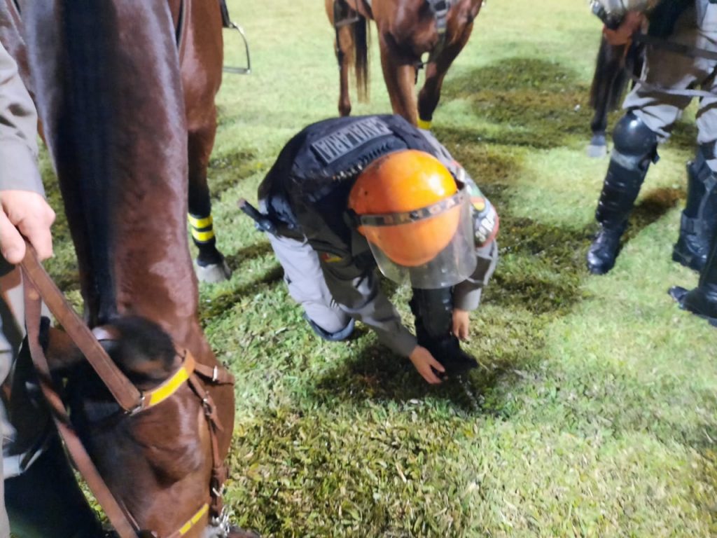 Cavalaria do 3° RPMon conclui o Curso Básico de Policiamento Montado em Porto Alegre