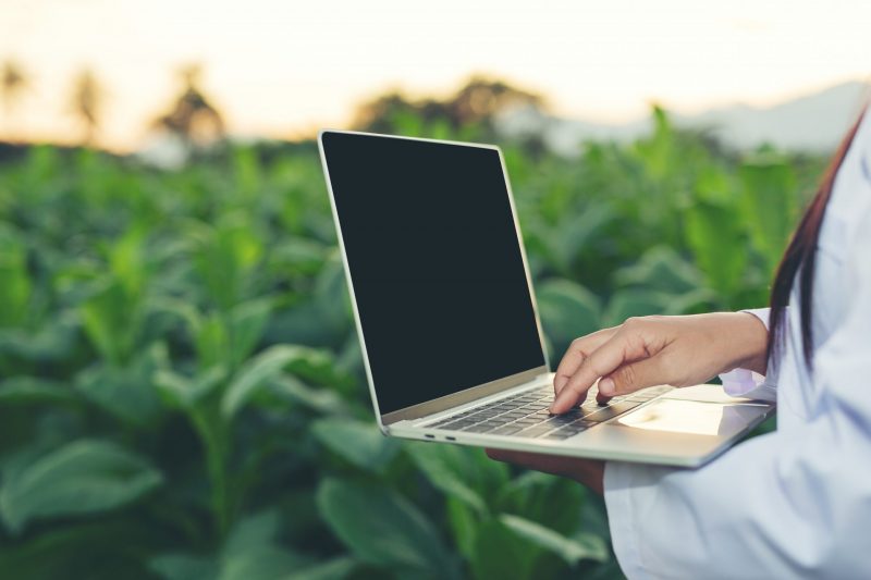 Parque Tecnológico do Agronegócio e Agroenergia deve ser criado em Passo Fundo