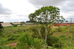 Início das obras do Presídio Feminino de Passo Fundo deve ocorrer em agosto