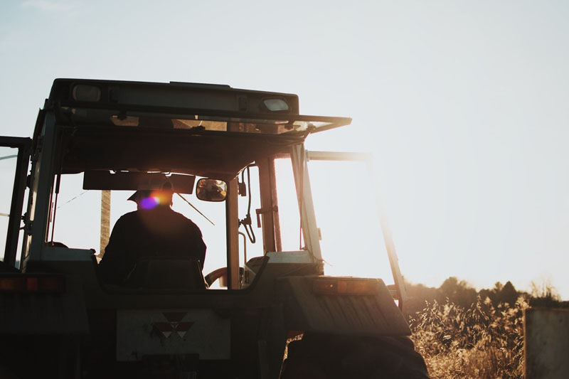 Dia do Agricultor: momento positivo do agro está ajudando a manter os mais jovens no interior