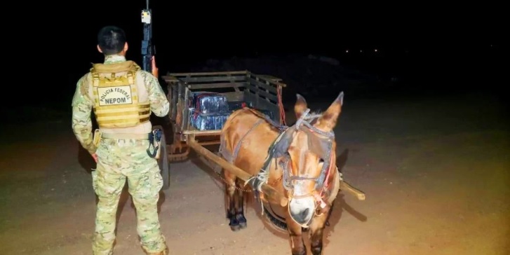 Burro é flagrado com carroça carregada de maconha pela Polícia Federal no Paraná
