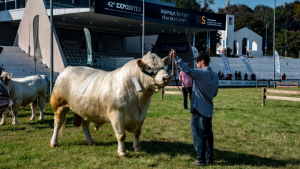 Expointer 2021 recebe 2.820 inscrições de animais de argola