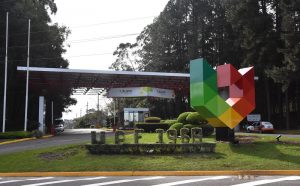 Especialização