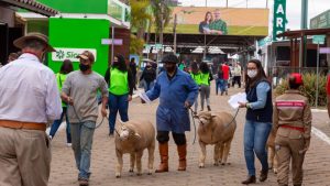 Confira a programação de domingo na 44ª Expointer