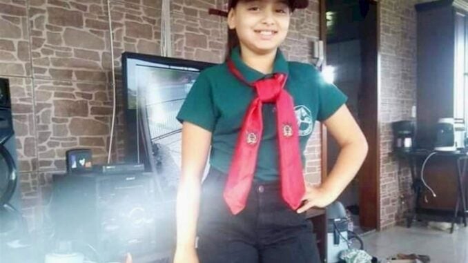Menina de 10 anos morre após ser atingida por coice de égua em