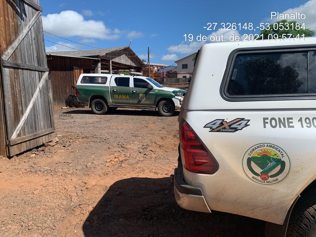 3°Batalhão Ambiental realiza operação com o Ibama na região de Passo Fundo