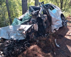 Condutor morre ao colidir carro em árvore entre Lagoa Vermelha e Sananduva