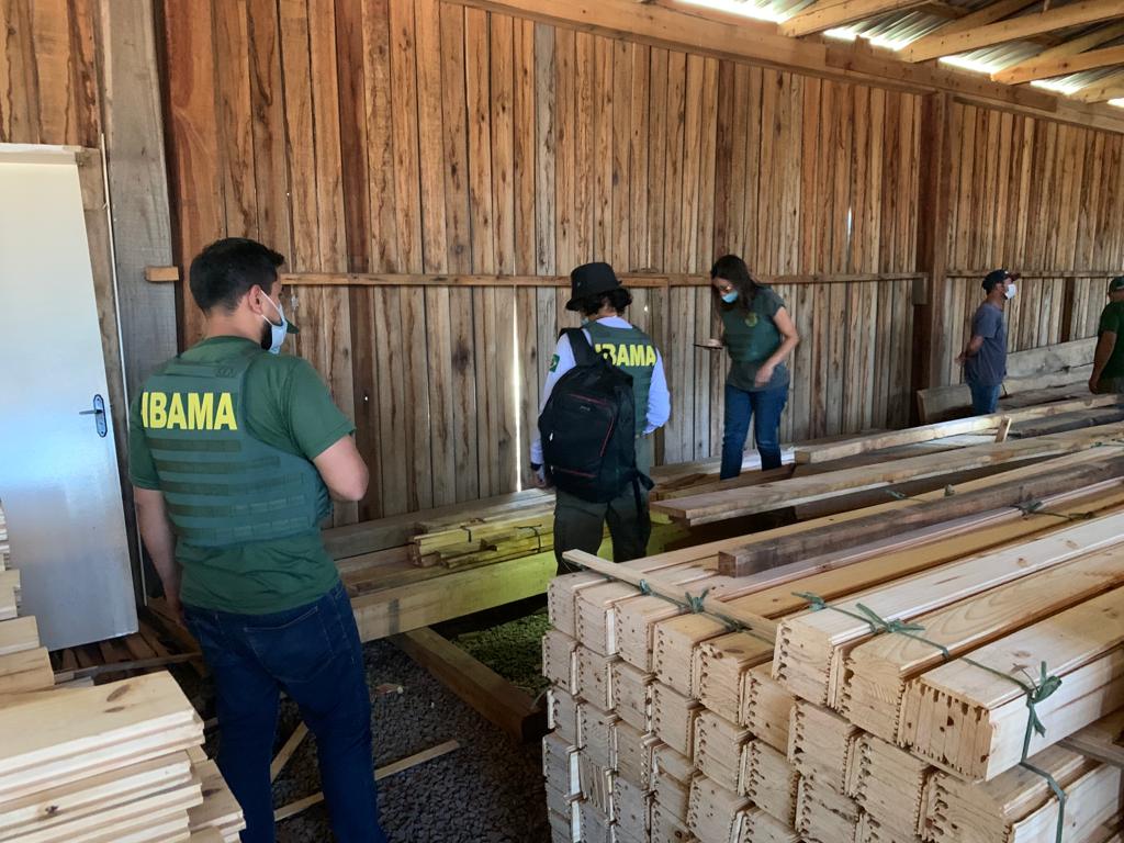3°Batalhão Ambiental realiza operação com o Ibama na região de Passo Fundo