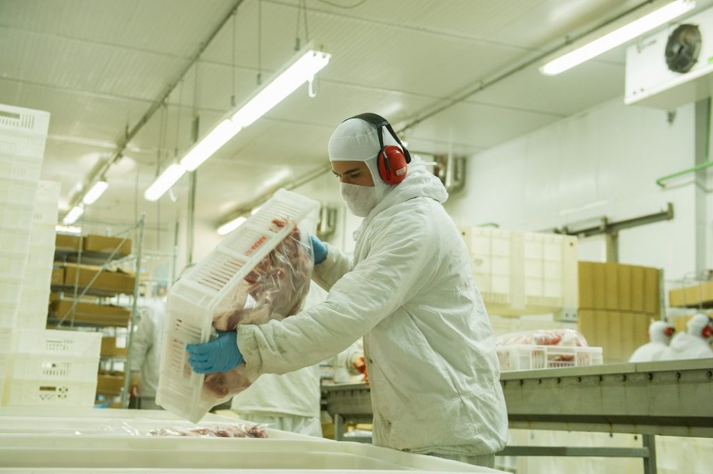 Exportações de carne de frango crescem 21,3% em setembro