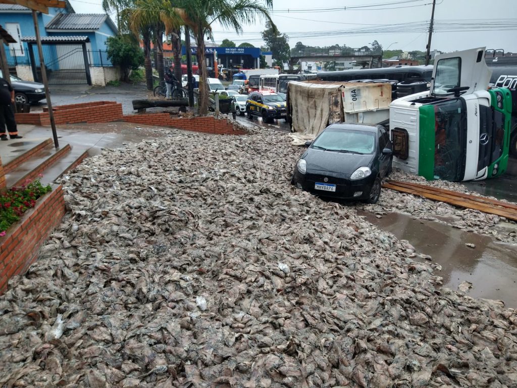 Carreta carregada de peixes tomba no trevo de acesso ao bairro São José