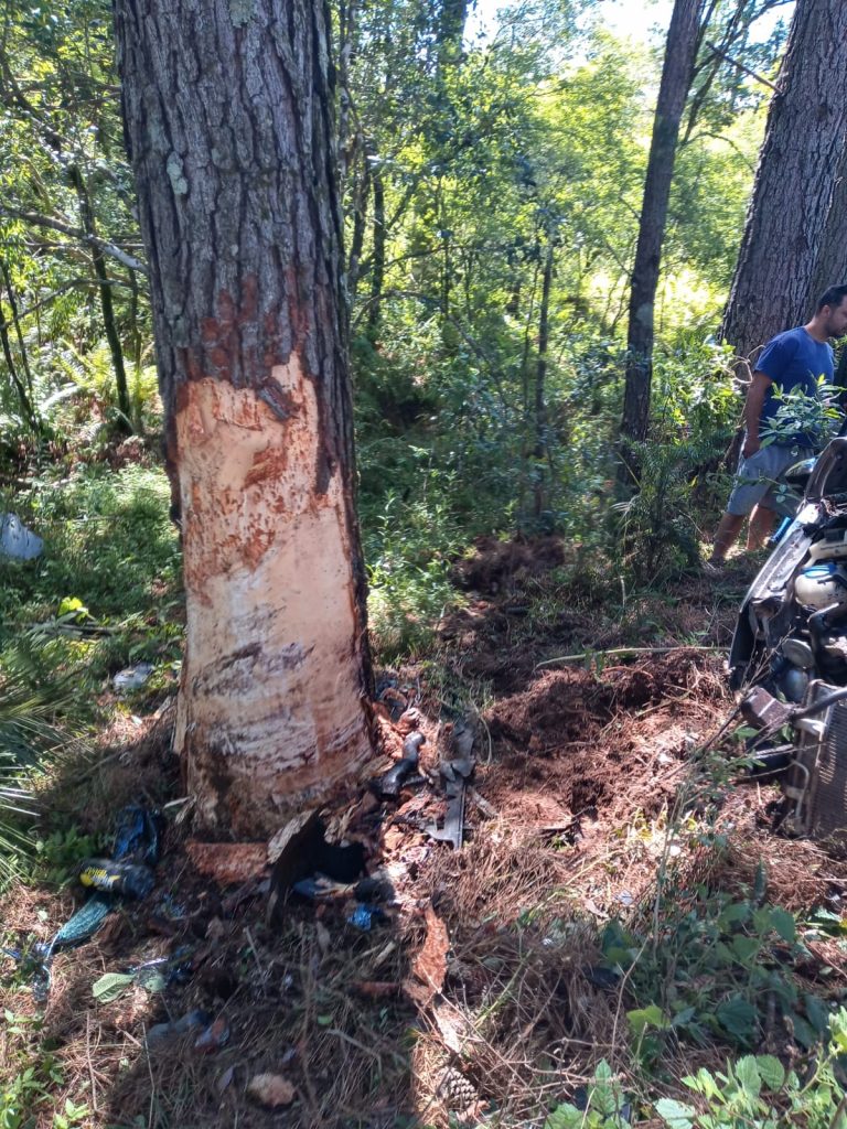 Condutor morre ao colidir carro em árvore entre Lagoa Vermelha e Sananduva