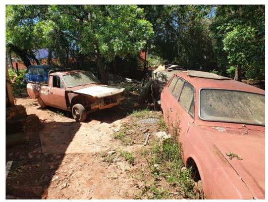 3°Batalhão Ambiental da BM realiza prisão por crime ambiental no bairro Integração