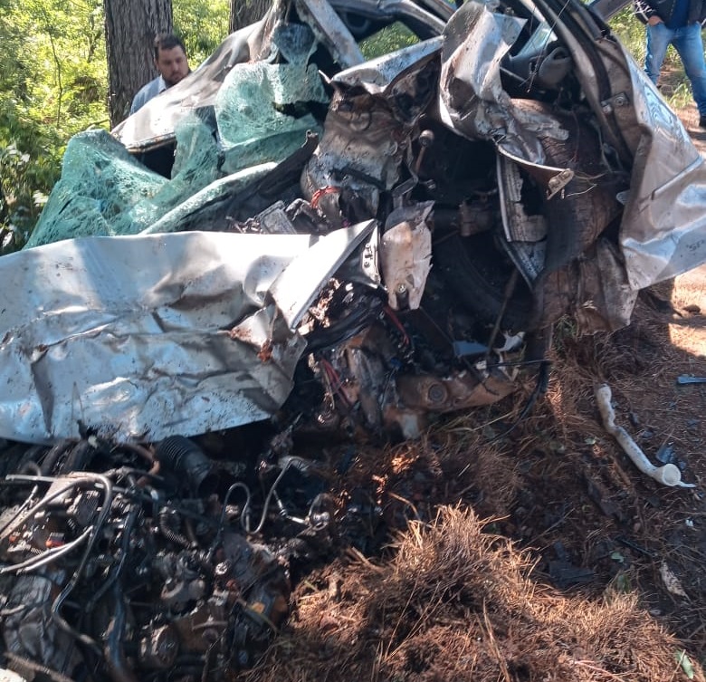 Condutor morre ao colidir carro em árvore entre Lagoa Vermelha e Sananduva