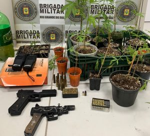 Homem é preso por cultivar plantação de maconha em Nicolau Vergueiro