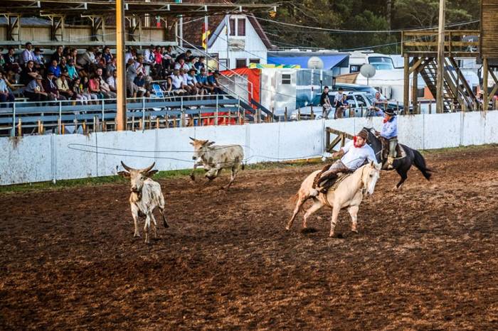 Festa Campeira do Rio Grande do Sul é adiada para os meses de abril e maio