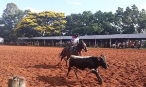 Fase regional da Festa Campeira do Rio Grande do Sul acontece neste fim de semana em Passo Fundo