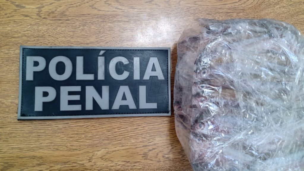 Lambaris congelados são arremessados ao Presídio de Passo Fundo