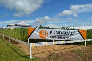 Estudo da Fundação Pró-Sementes sobre cultivares de trigo aponta aumento de produtividade no RS