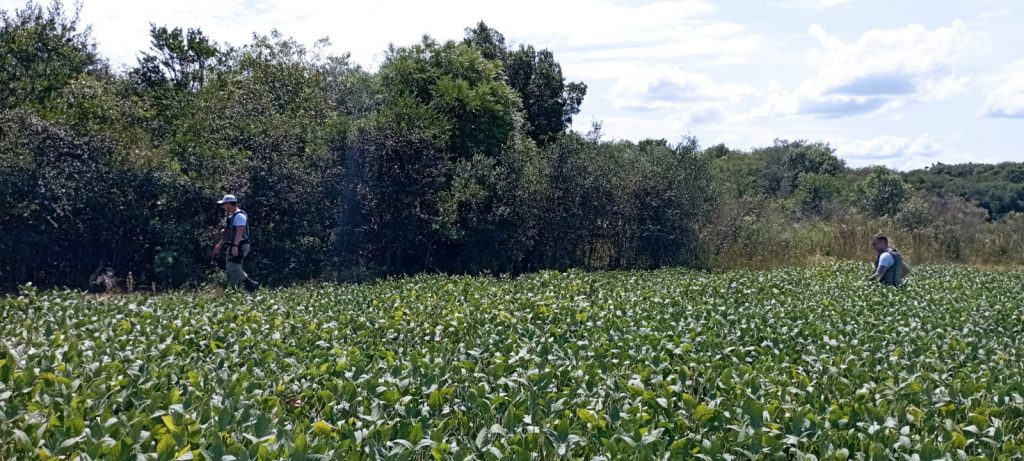 Delegacia de Homicídios identifica homem que matou amigo durante pescaria