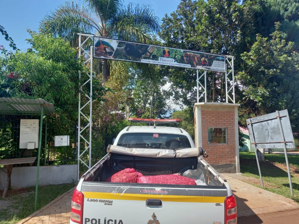 Batalhão Ambiental realiza operação contra a venda de pinhão em Passo Fundo