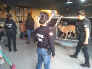 Passo-fundense acusado de roubos e estupros é preso pela Polícia Civil em Santa Catarina
