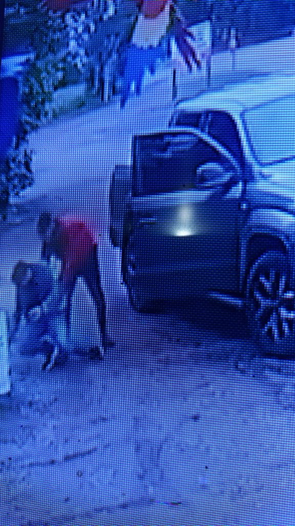 Bandidos armados roubam caminhonete na ERS-153 entre Passo Fundo e Ernestina
