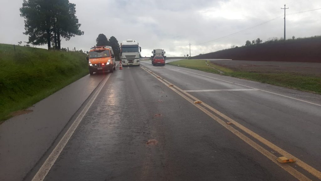 Veículo sai da pista após pneu estourar entre Passo Fundo e Coxilha