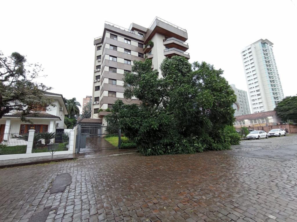 Árvore cai durante a madrugada em Passo Fundo