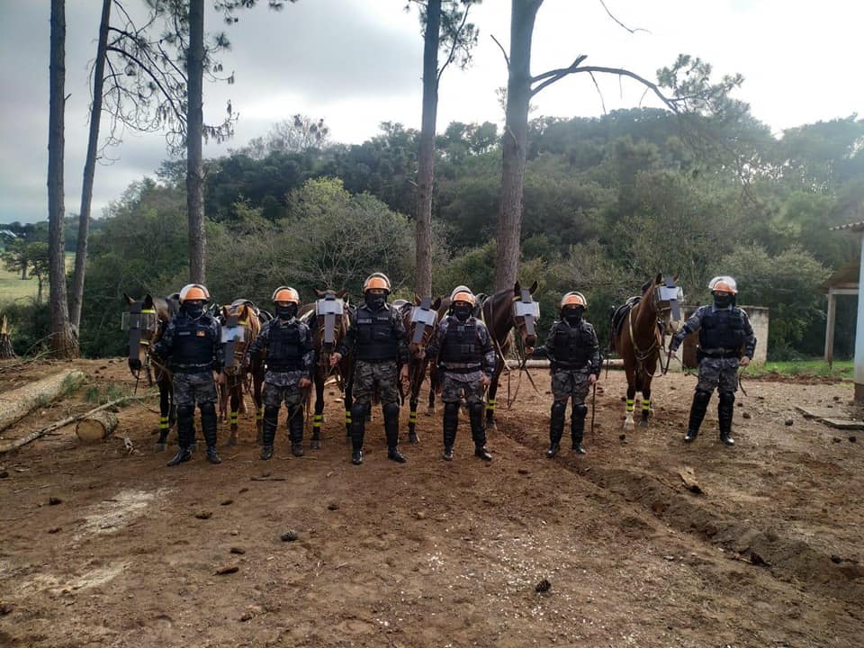 Dia da Cavalaria: data destaca um importante braço da Brigada Militar