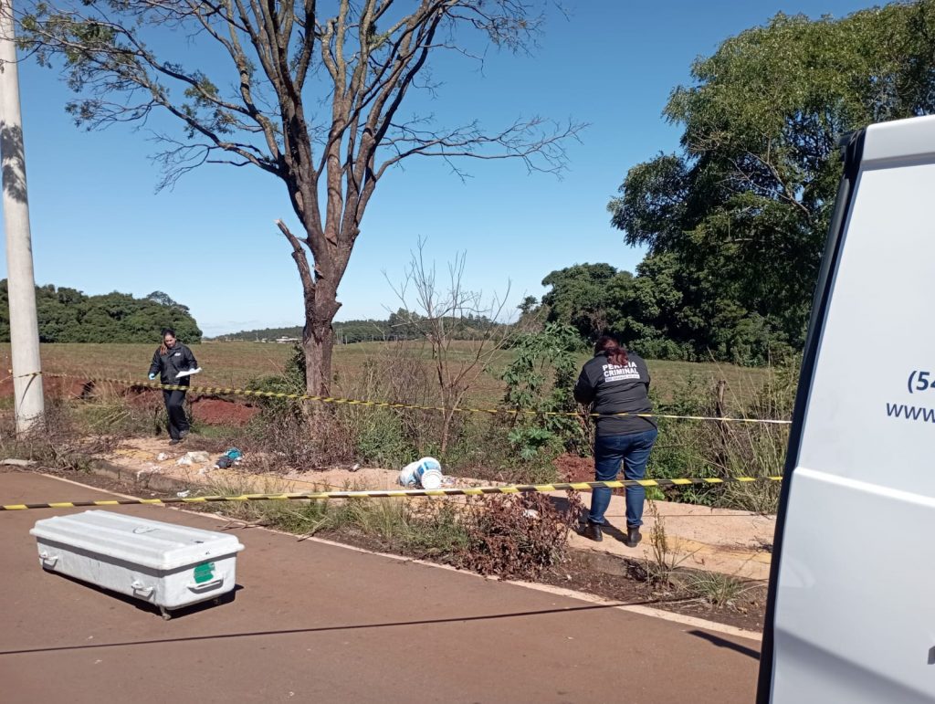 Urgente: feto é encontrado em mato do Bairro Donária em Passo Fundo