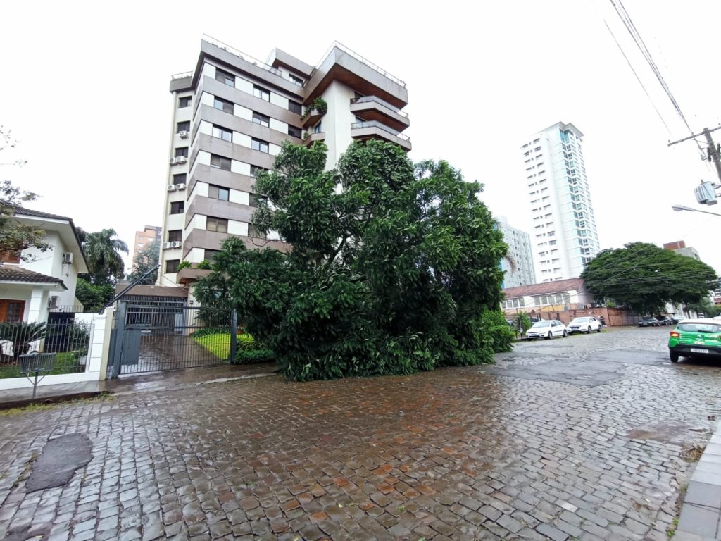 Árvore cai durante a madrugada em Passo Fundo