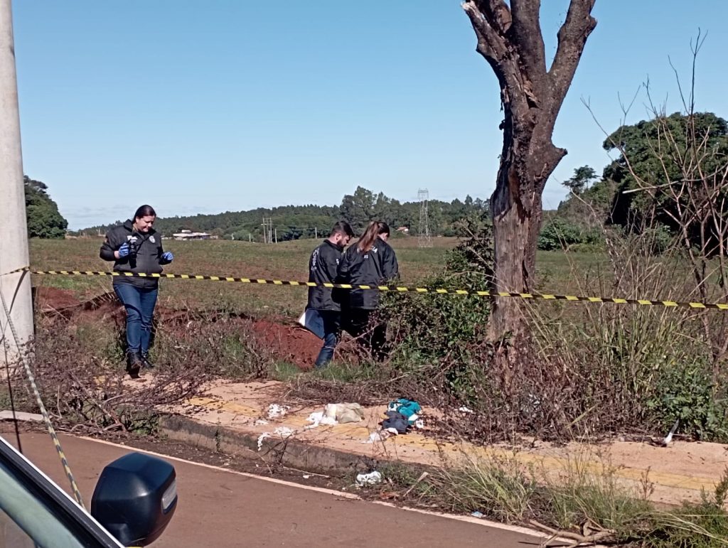Urgente: feto é encontrado em mato do Bairro Donária em Passo Fundo