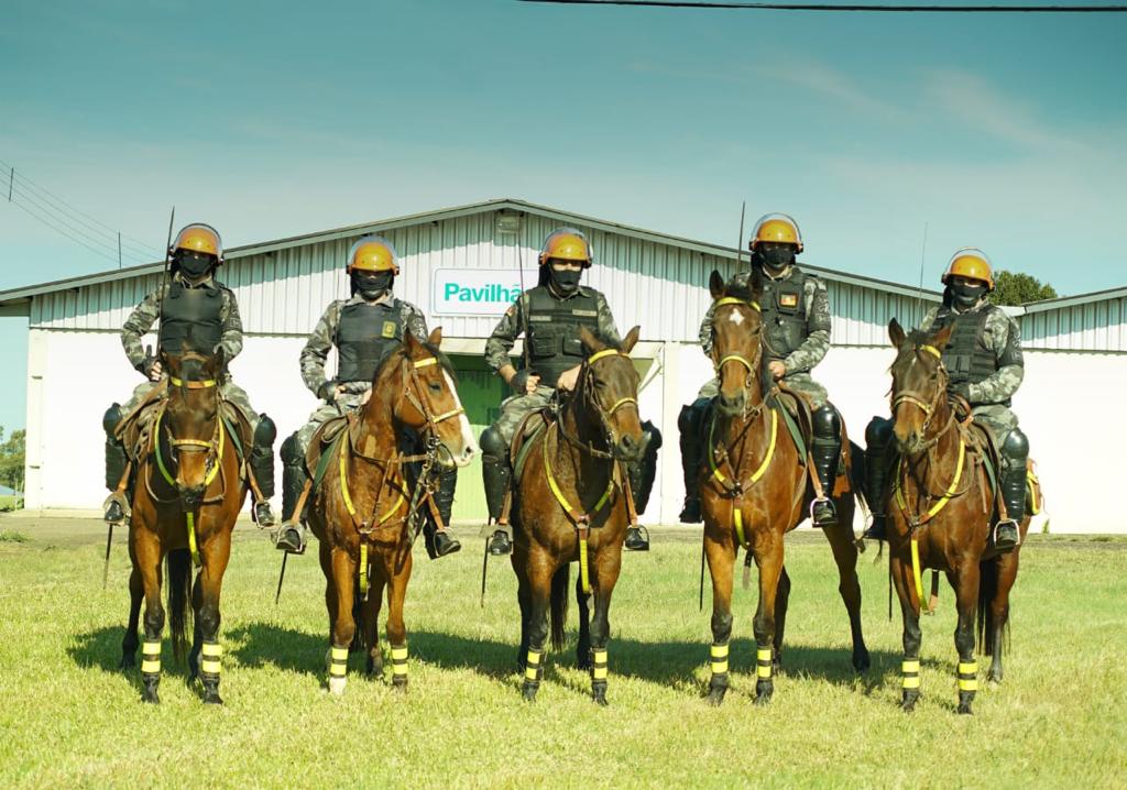 Dia da Cavalaria: data destaca um importante braço da Brigada Militar