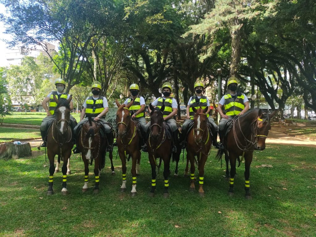 Dia da Cavalaria: data destaca um importante braço da Brigada Militar
