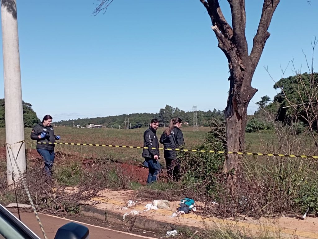 Urgente: feto é encontrado em mato do Bairro Donária em Passo Fundo