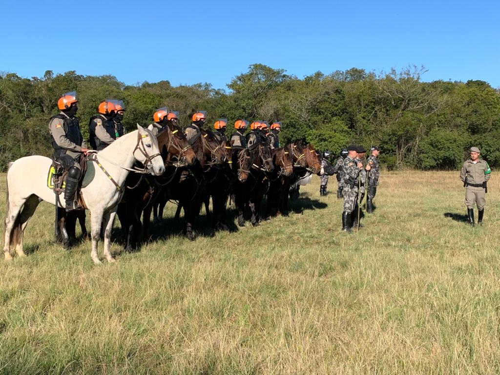 Dia da Cavalaria: data destaca um importante braço da Brigada Militar