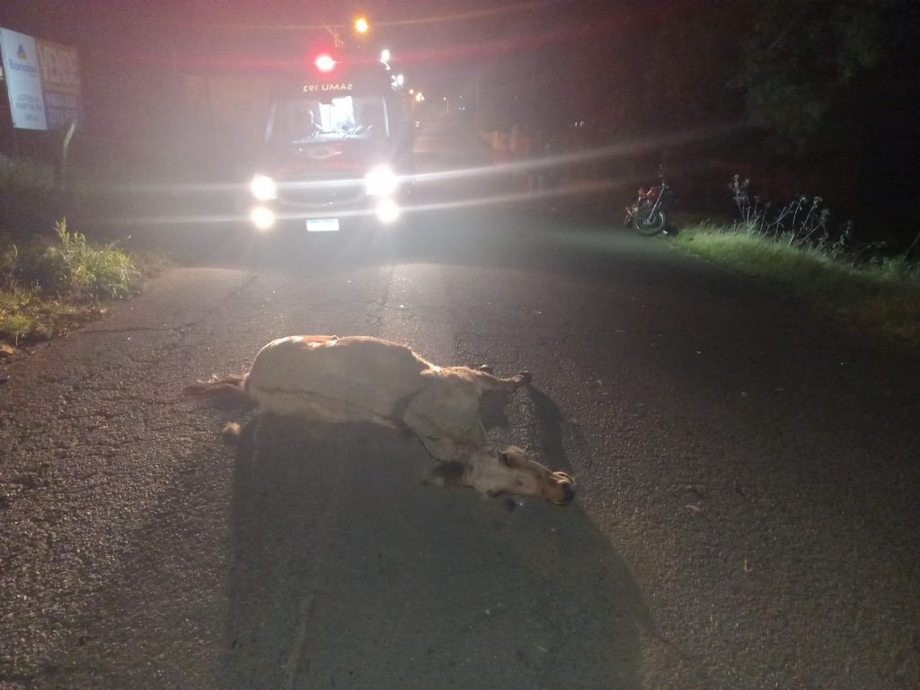 Motoboy sofre acidente após colidir em cavalo no meio da rua no bairro Integração