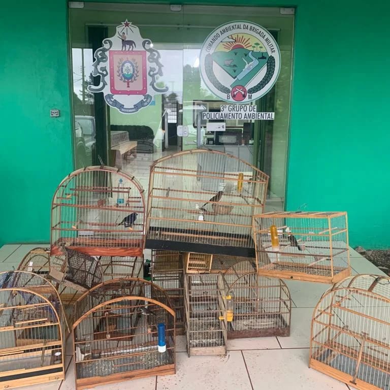 Brigada Militar encontra animais silvestres no centro de Lagoa Vermelha