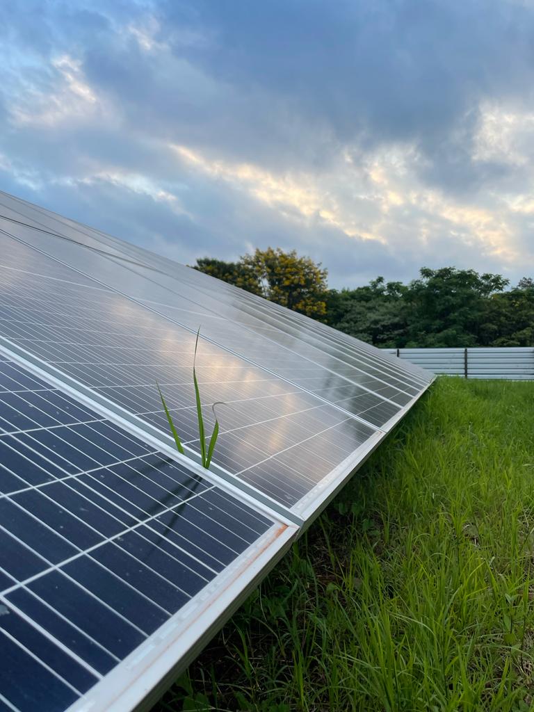 Usina Fotovoltaica do Grupo Foto Sul já opera e gera economia em energia elétrica