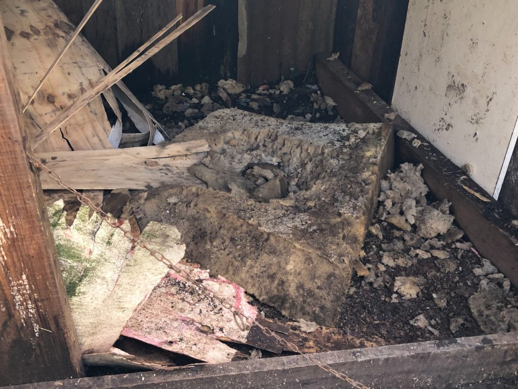 3°Batalhão Ambiental prende mulher por maus tratos em Canela