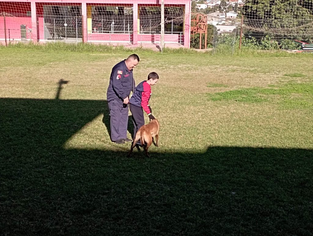 Rádio Uirapuru conhece o dia-a-dia dos cães farejadores dos bombeiros em Passo Fundo