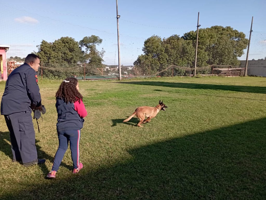 Rádio Uirapuru conhece o dia-a-dia dos cães farejadores dos bombeiros em Passo Fundo