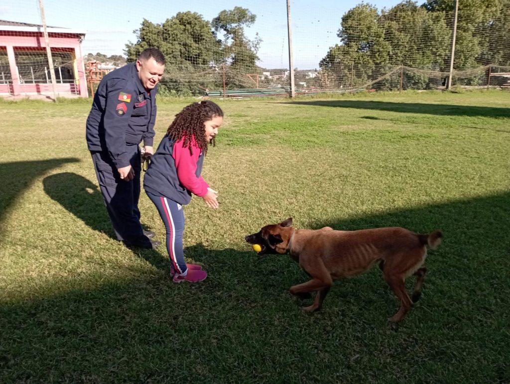 Rádio Uirapuru conhece o dia-a-dia dos cães farejadores dos bombeiros em Passo Fundo