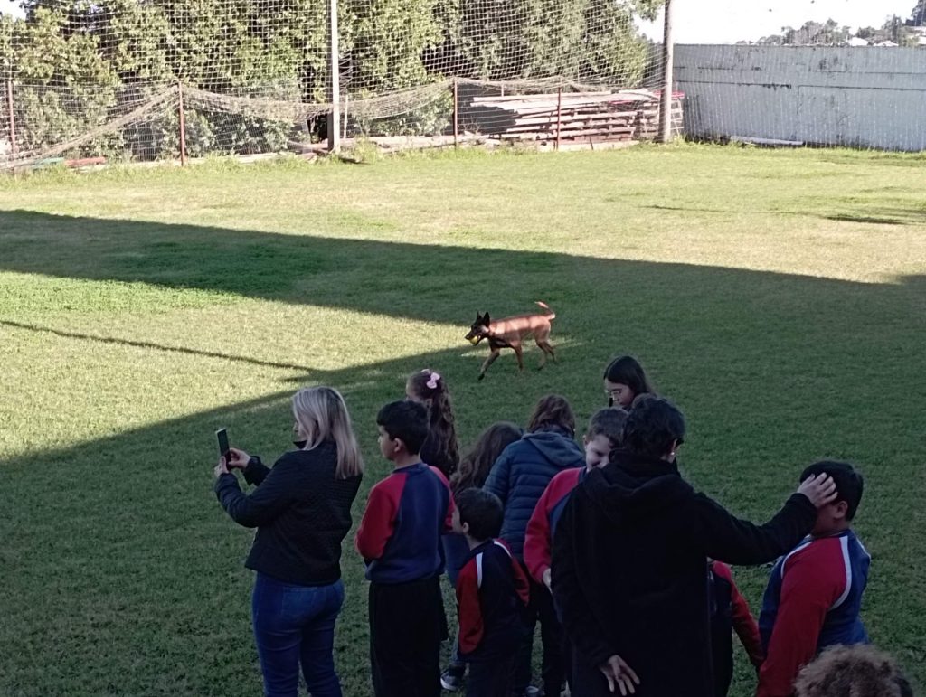 Rádio Uirapuru conhece o dia-a-dia dos cães farejadores dos bombeiros em Passo Fundo