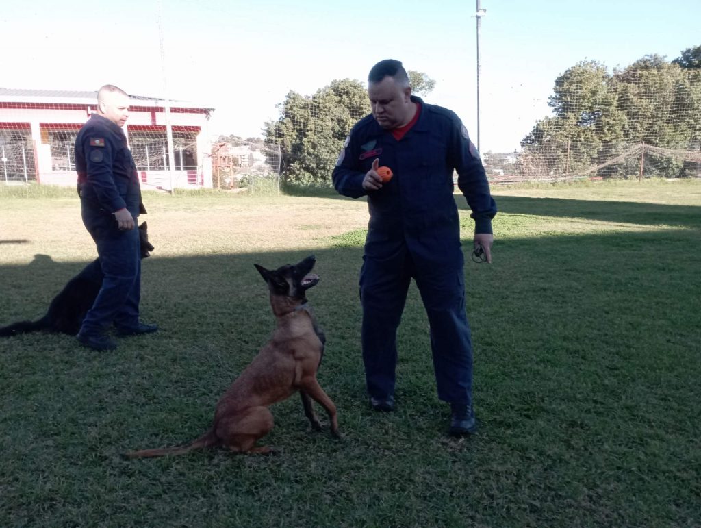 Rádio Uirapuru conhece o dia-a-dia dos cães farejadores dos bombeiros em Passo Fundo