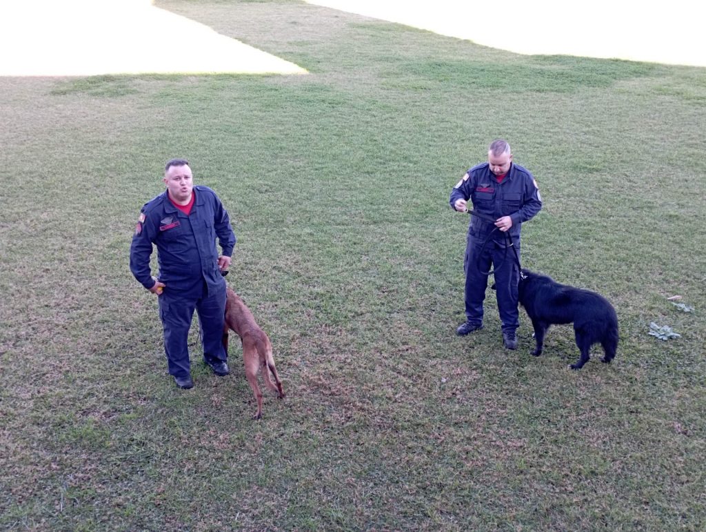 Rádio Uirapuru conhece o dia-a-dia dos cães farejadores dos bombeiros em Passo Fundo