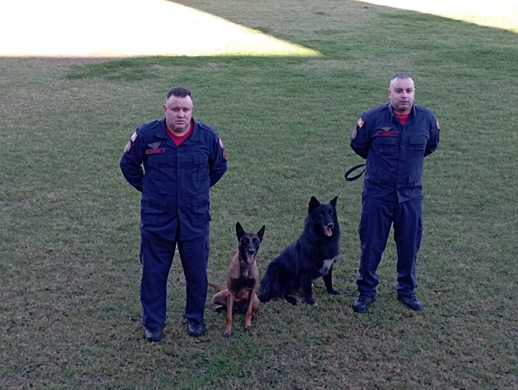 Rádio Uirapuru conhece o dia-a-dia dos cães farejadores dos bombeiros em Passo Fundo