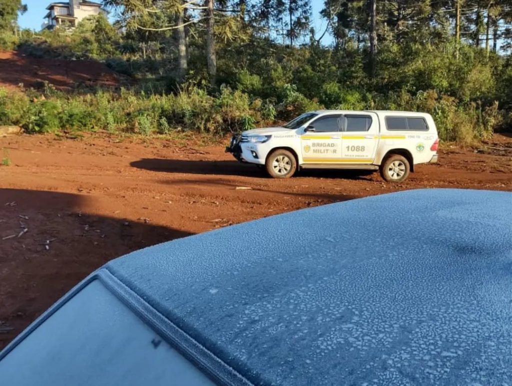 3° Batalhão Ambiental monitora onça-parda que foi filmada por moradores de Erechim